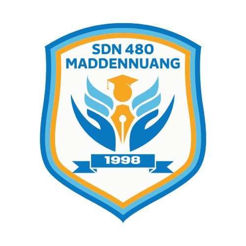 SDN 480 Maddennuang